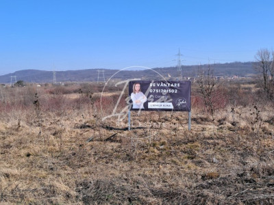 Teren 1 hectar 500 la Mohu