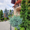 CASA DE LUX DE VANZARE IN SURA MARE thumb 18