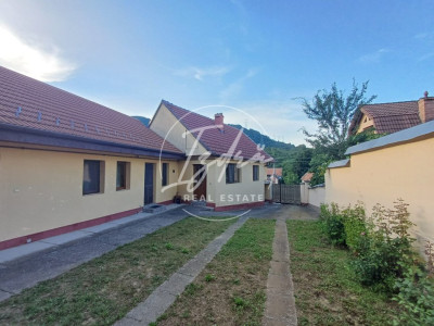 Casa cu gradina mare si livada de vanzare