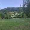 Casa cu gradina mare si livada de vanzare thumb 12
