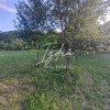 Casa cu gradina mare si livada de vanzare thumb 13