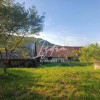 Casa cu gradina mare si livada de vanzare thumb 15