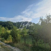 Casa cu gradina mare si livada de vanzare thumb 16