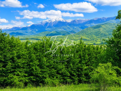 Teren de vanzare in Vii,  Podul Olt