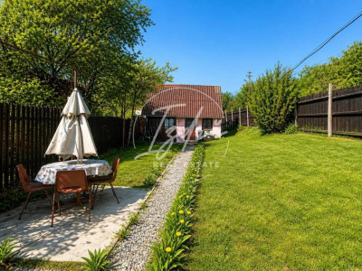 Cabana de vanzare in Saliste