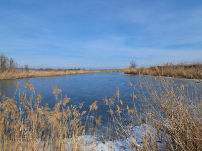 Teren cu lac. Afacere, agrement