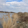 Teren cu lac. Afacere, agrement thumb 5