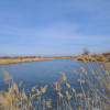 Teren cu lac. Afacere, agrement thumb 2
