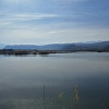 Teren cu lac. Afacere, agrement thumb 10