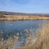 Teren cu lac. Afacere, agrement thumb 14