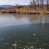Teren cu lac. Afacere, agrement thumb 19