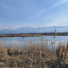 Teren cu lac. Afacere, agrement thumb 22