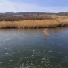 Teren cu lac. Afacere, agrement thumb 23